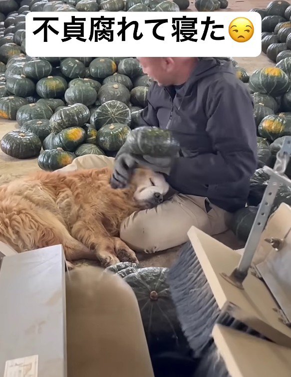 パパも思わずニッコリ笑顔