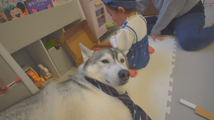 満足そうなもんちゃん