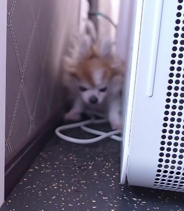 とっても狭いところにいた!