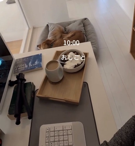 机のそばで眠る犬