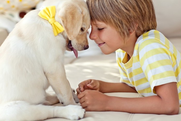 子供とオデコを合わせる犬