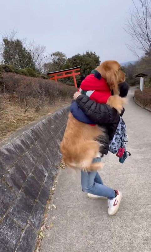 高いところに登りたがる空くん8