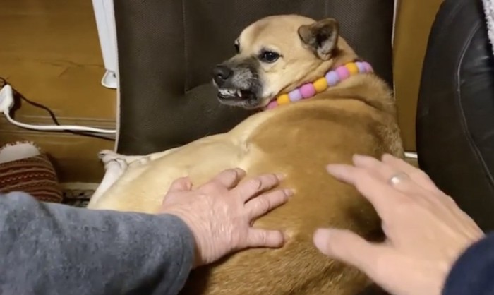 ムキ顔！！