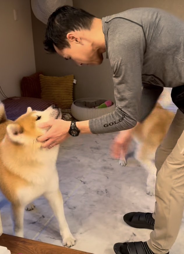 わちゃわちゃ