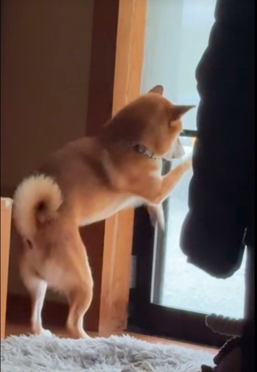 リクくんにハプニング発生2