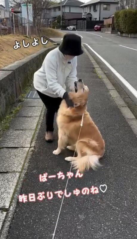 「お座りするからなでなでして♡」