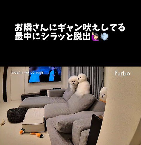 バレないで家を出られるか挑戦2