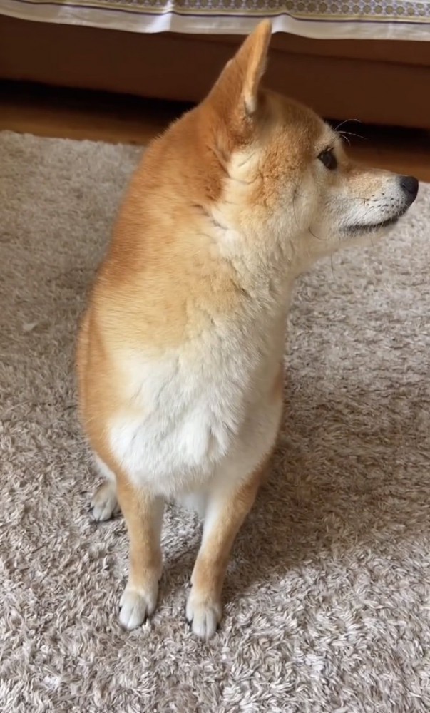 テンってどちら様ですか？