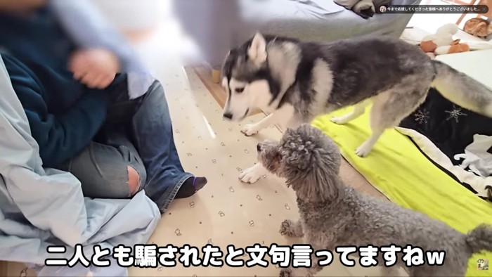 感情が大爆発！！