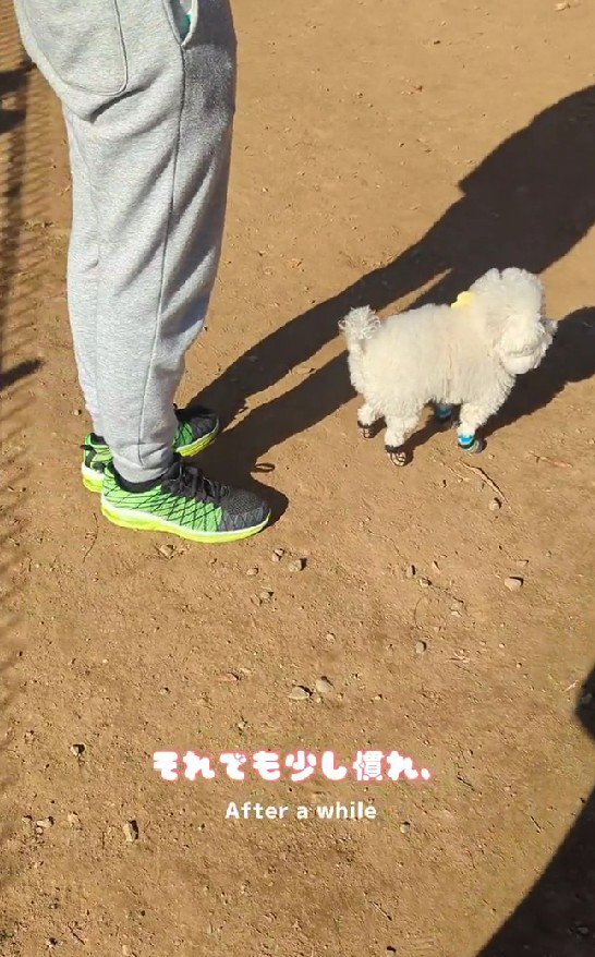 ちょっと慣れてきた？