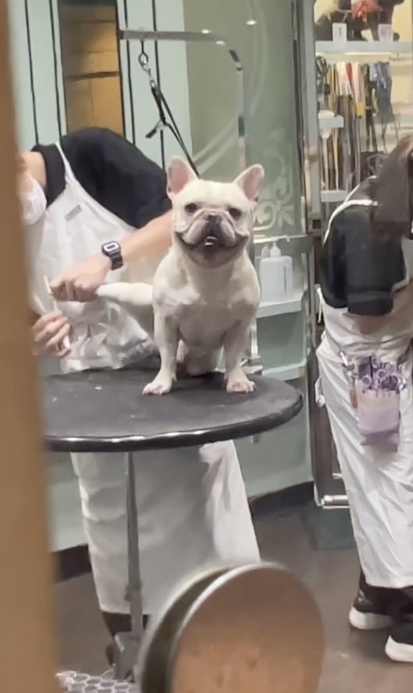 気付いてる