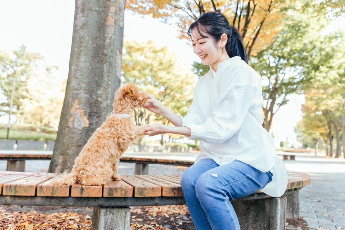 お手をする犬と笑顔の女性