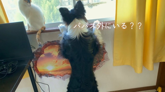 外にいないか確認中