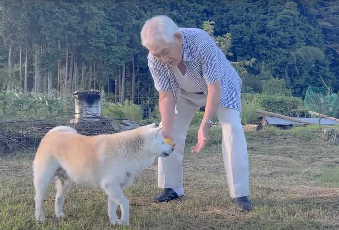 おやつをもらう犬