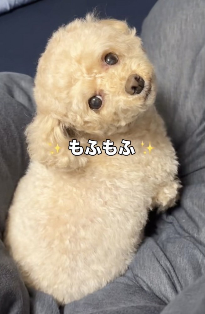 ゆらちゃん、可愛さ大爆発