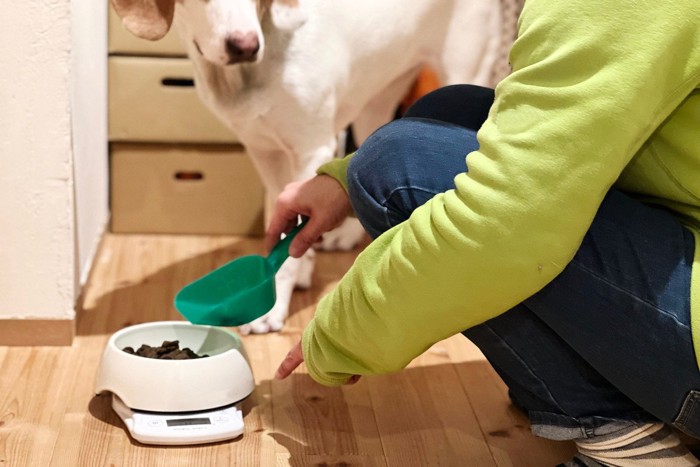 犬のごはんを計量する