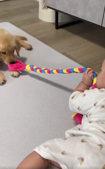 おもちゃで遊ぶふたり