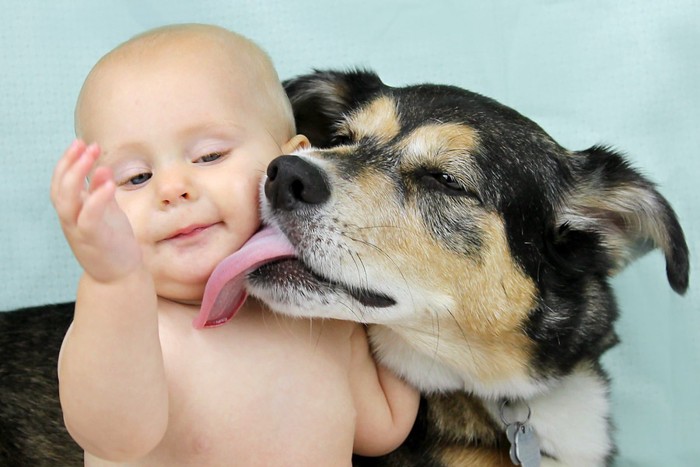 赤ちゃんの顔をなめる犬