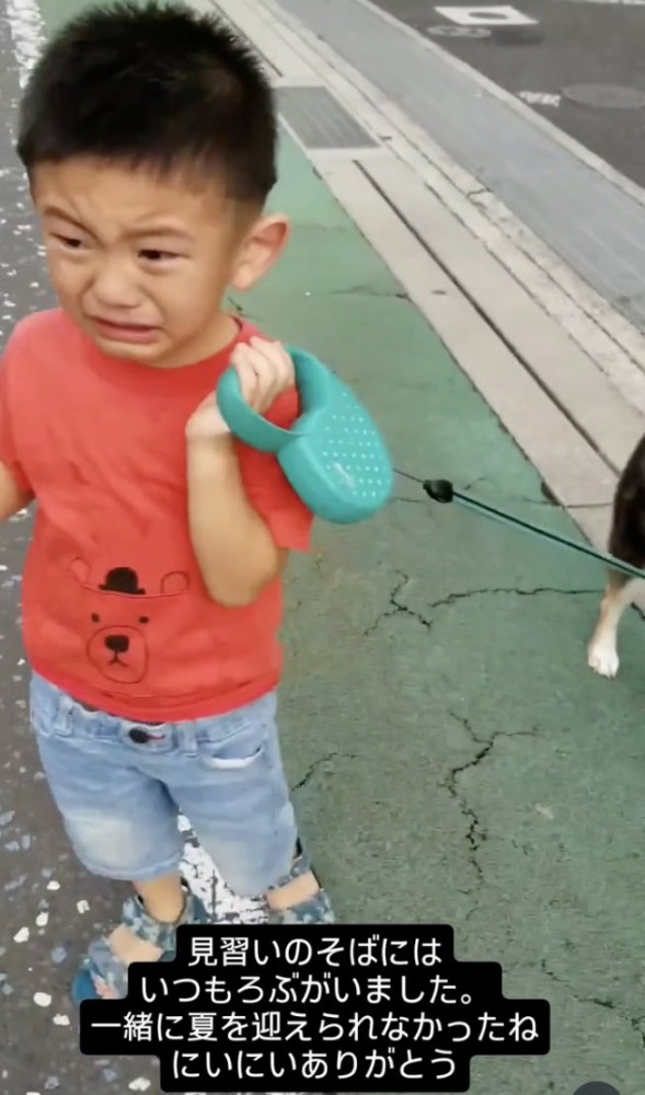 泣きながら散歩
