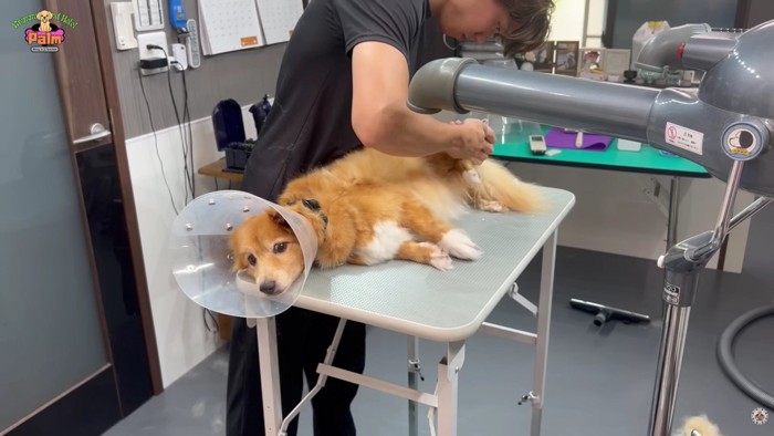 リラックスした表情に