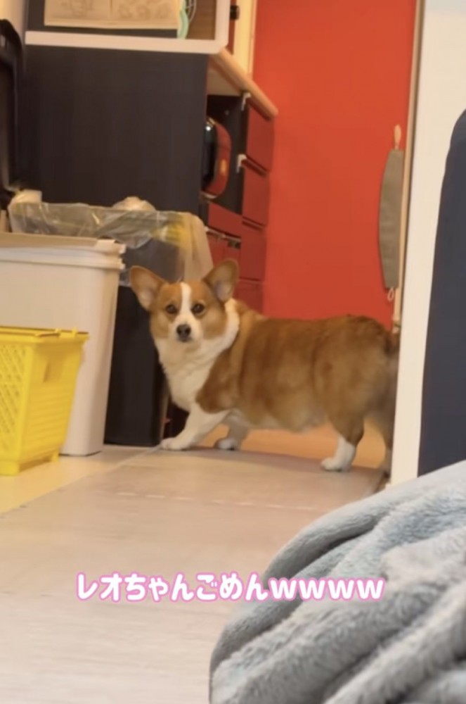 「取れへんのですけど…」