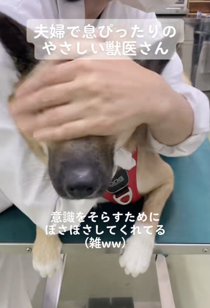 強めに「ぽさぽさ」されてます