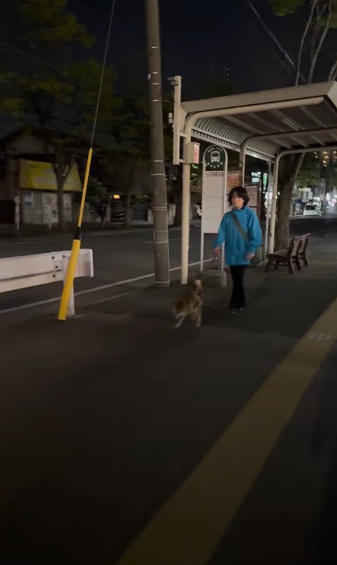 はちちゃんにドッキリを仕掛けた時の反応2