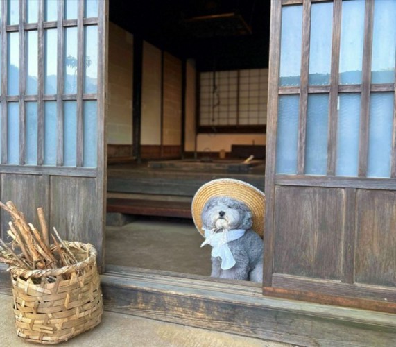 麦わら帽子