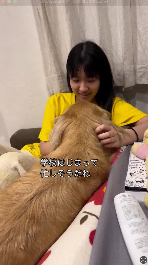 犬の顔を見て笑顔になる女の子