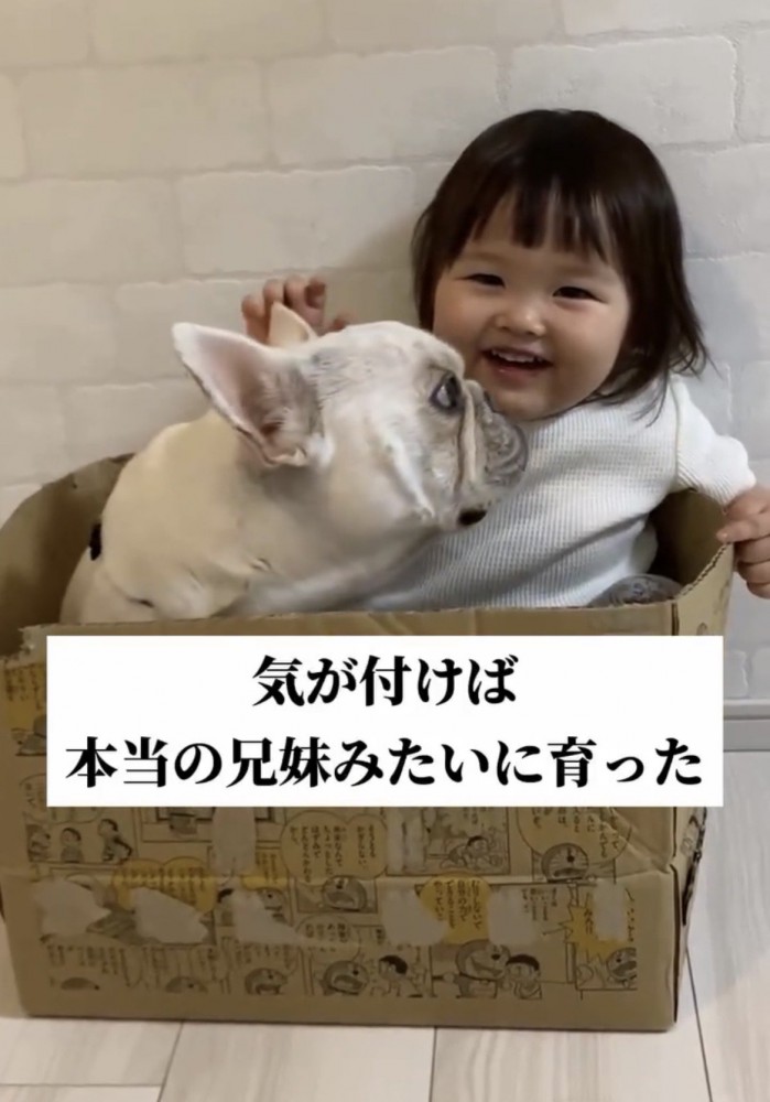 子どもと箱に入る犬