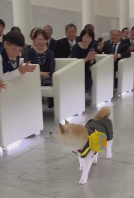 ファンサも抜かりない♡