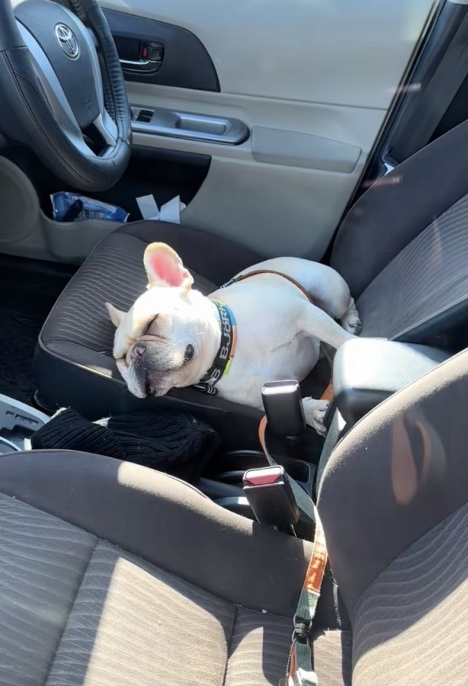 気持ちよさそう…