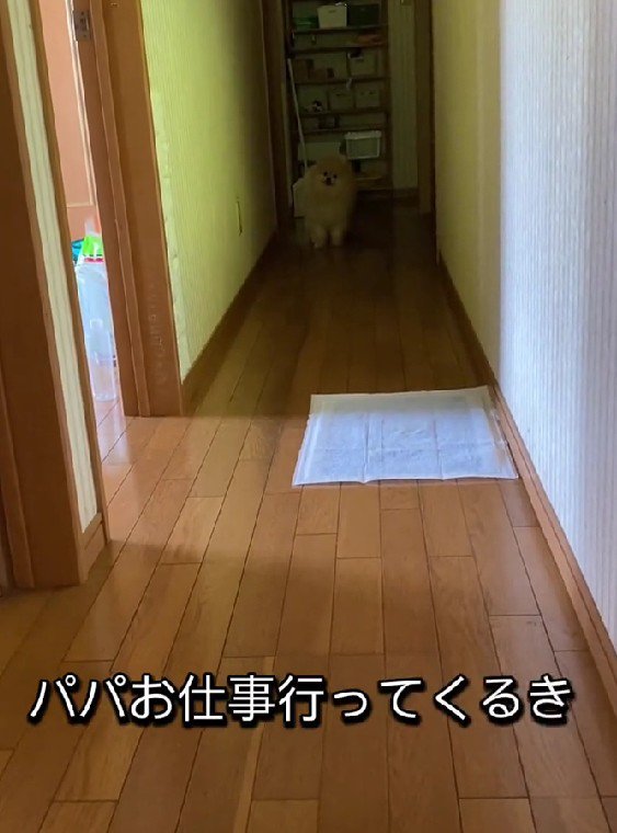 「仕事行ってくるよ」
