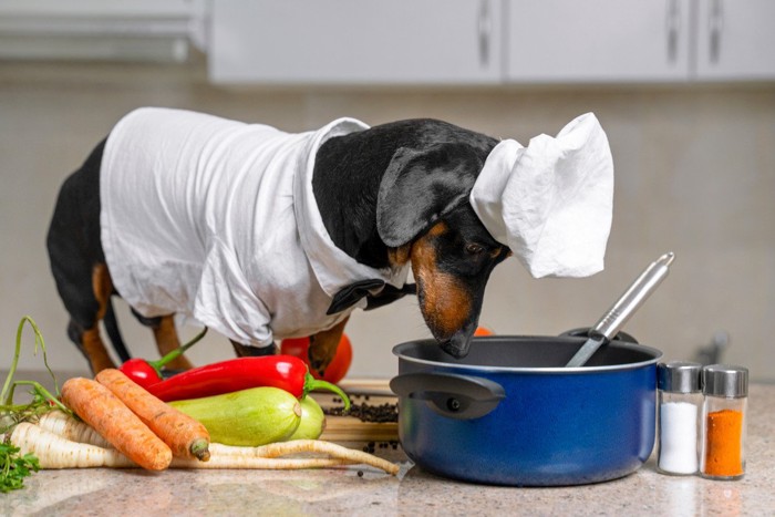 鍋を覗く犬