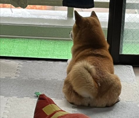 素敵な