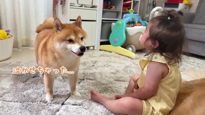 「ごめんね」