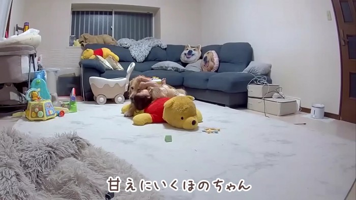 とっても嬉しそう！