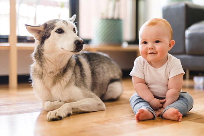 犬と子供