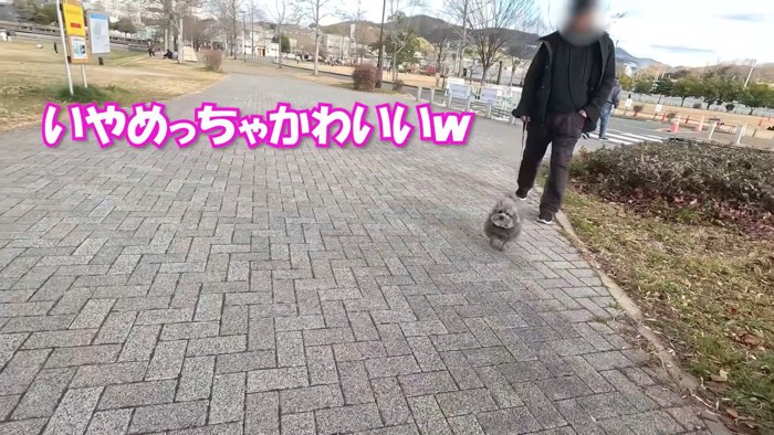 「可愛い」と言ってくれていますが…