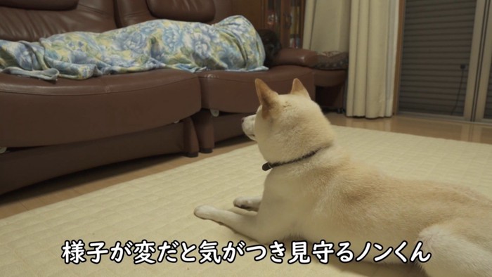とても心配そう!