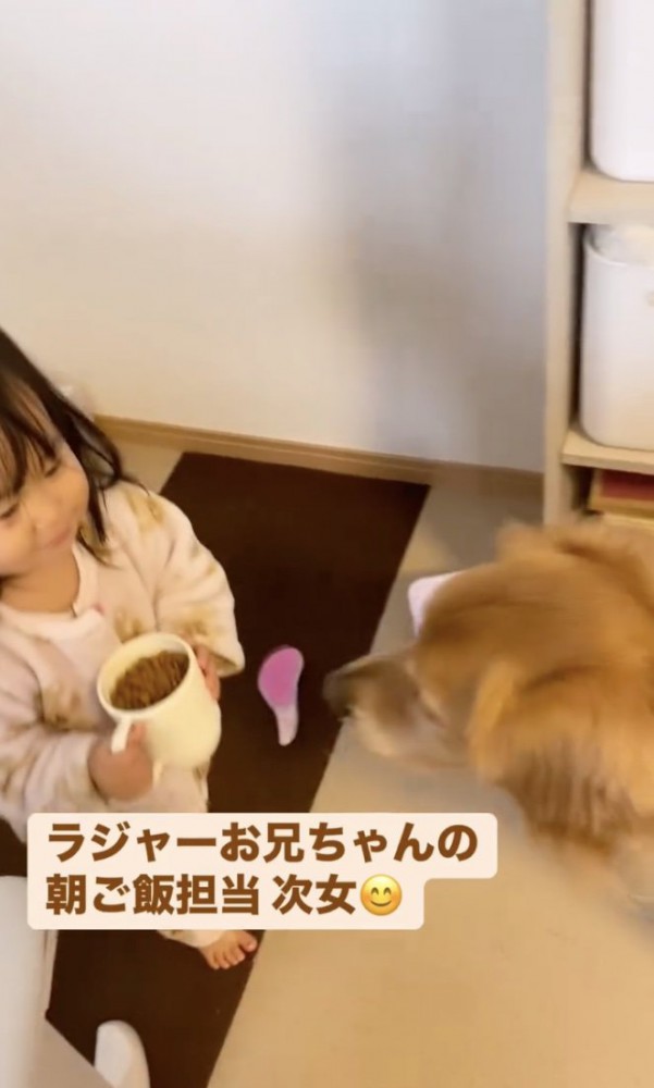 「僕のごはんだ！」