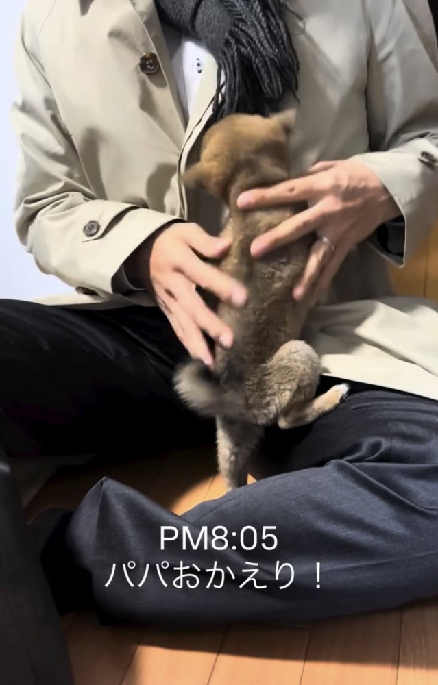 人の膝に飛びつく子犬