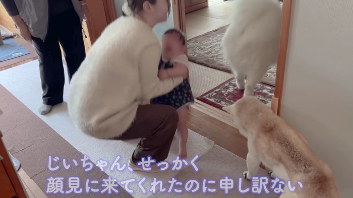 あいちゃんが颯爽と登場