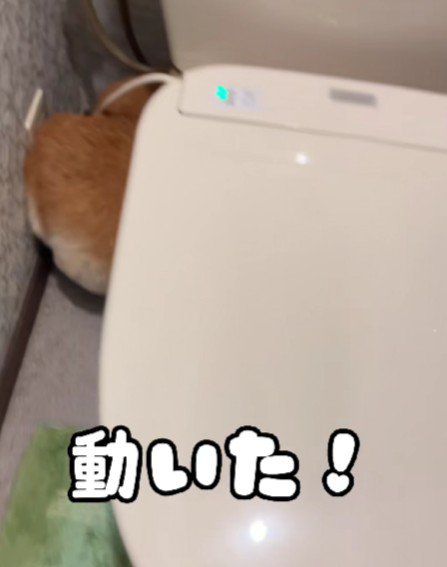 やっと出てくる!