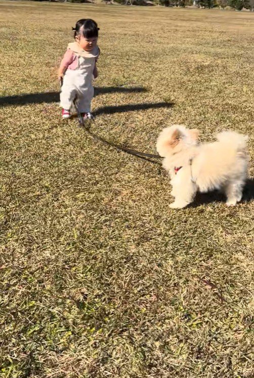 もち君と赤ちゃんのお散歩7