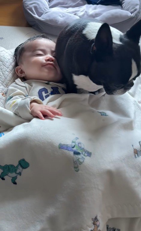 こんぶちゃんと赤ちゃん8