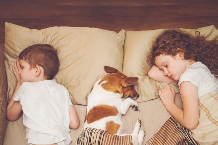 真ん中で眠る犬と端で眠る子供二人