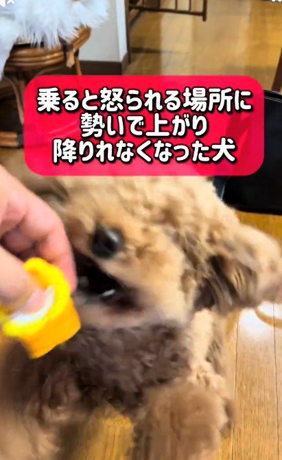 切替が速い！！