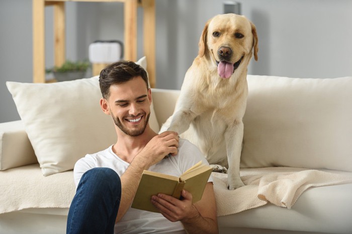 飼い主の肩に手をのせる犬