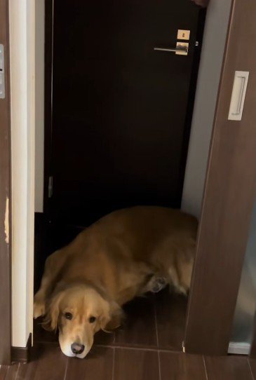 「え?どうしたの?」